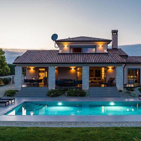 Villa Labin In Zartinj - Luxury Privacy Heated Pool With Auto Cover Εξωτερικό φωτογραφία